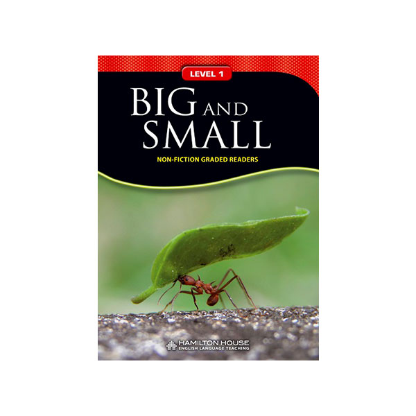 BIG AND SMALL WITH E-BOOK